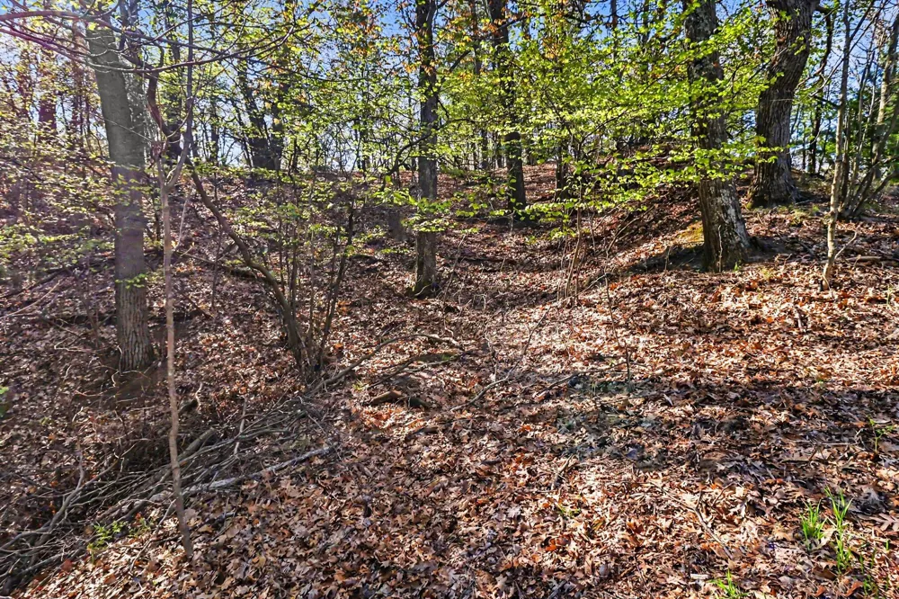 Silver Ridge Road Mears, MI 49436