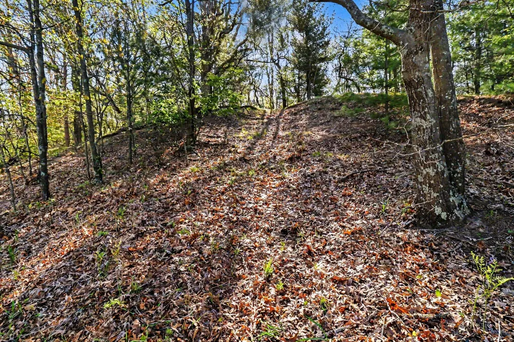Silver Ridge Road Mears, MI 49436