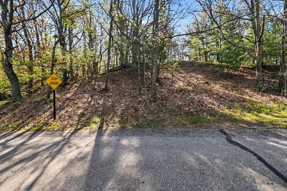 Silver Ridge Road Mears, MI 49436