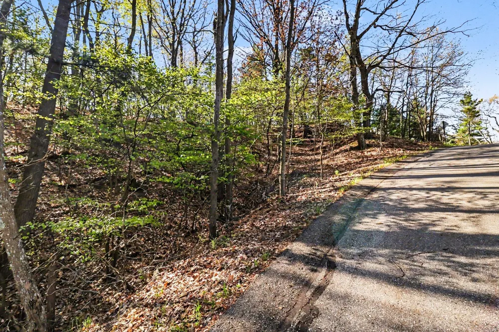 Silver Ridge Road Mears, MI 49436