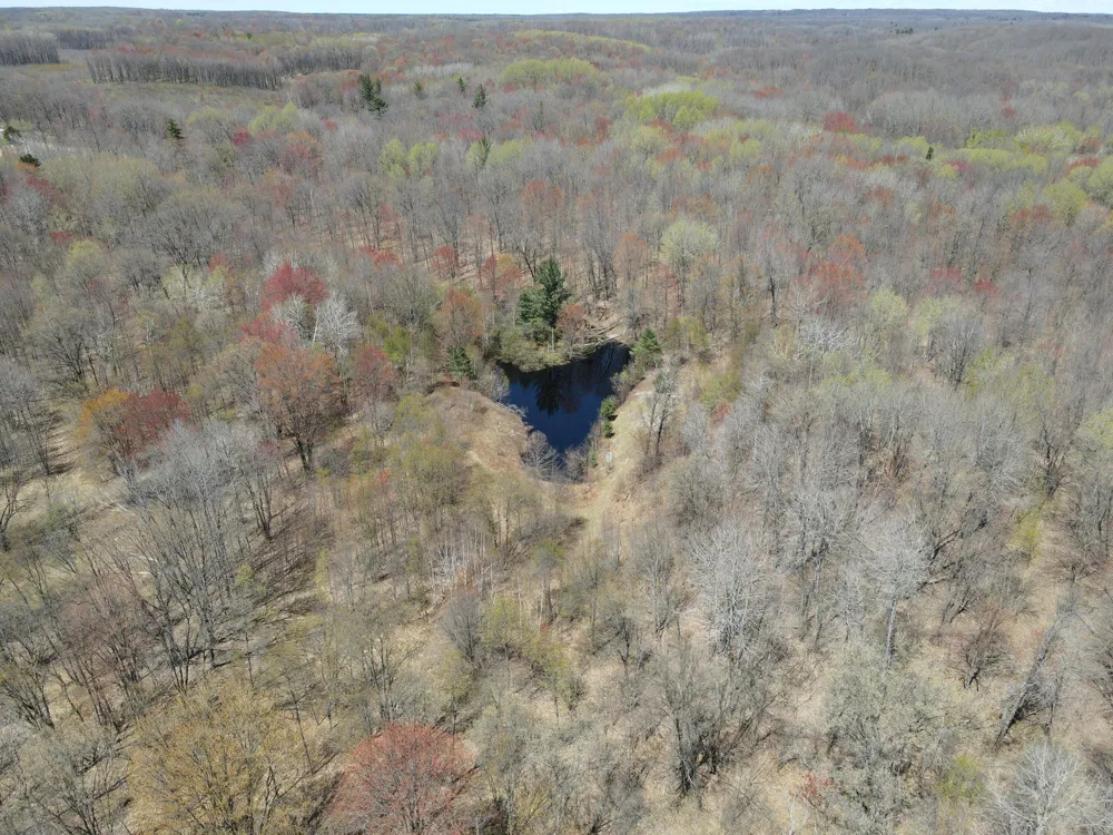 11401 Little George Lake Road Gladwin, MI 48624