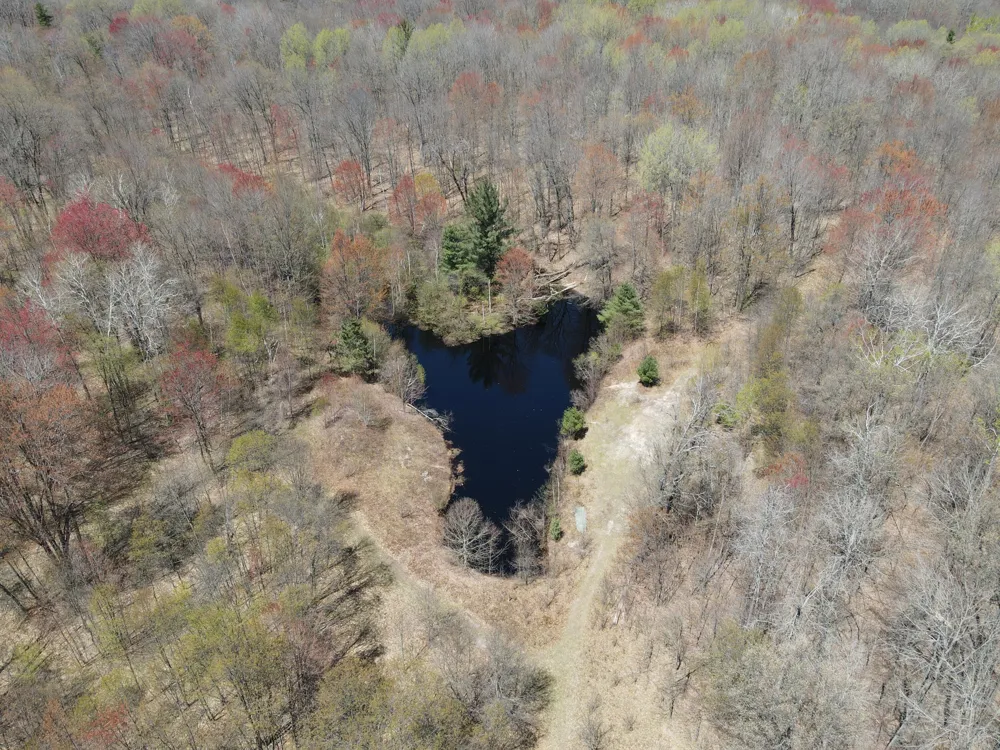 11401 Little George Lake Road Gladwin, MI 48624