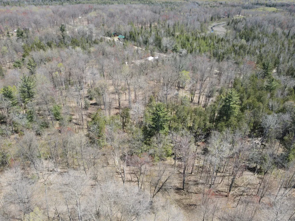 11401 Little George Lake Road Gladwin, MI 48624