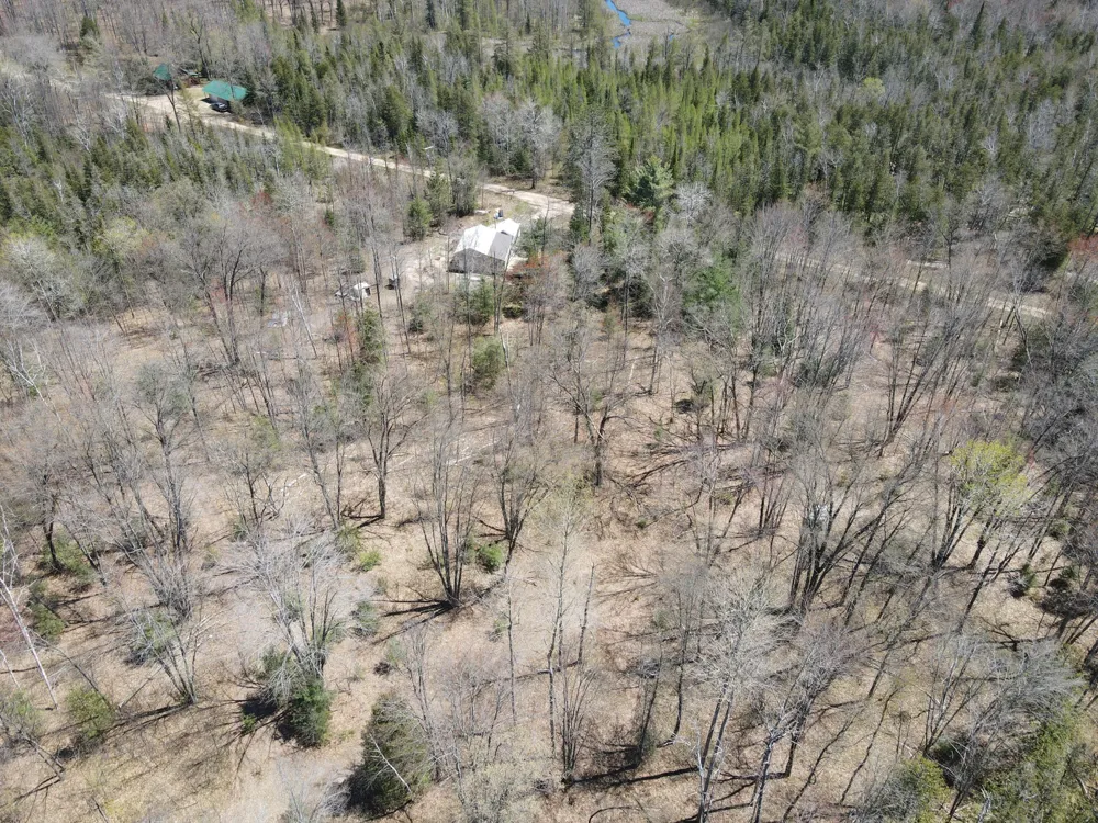 11401 Little George Lake Road Gladwin, MI 48624