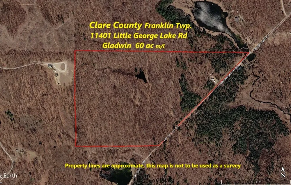 11401 Little George Lake Road Gladwin, MI 48624