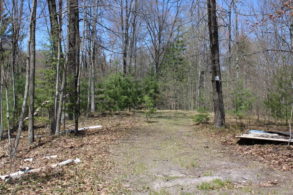 11401 Little George Lake Road Gladwin, MI 48624