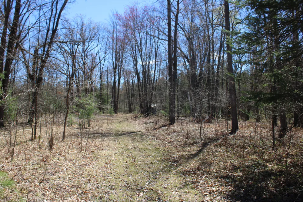 11401 Little George Lake Road Gladwin, MI 48624
