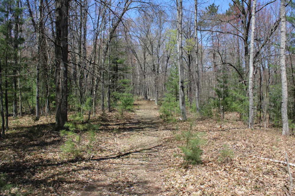11401 Little George Lake Road Gladwin, MI 48624