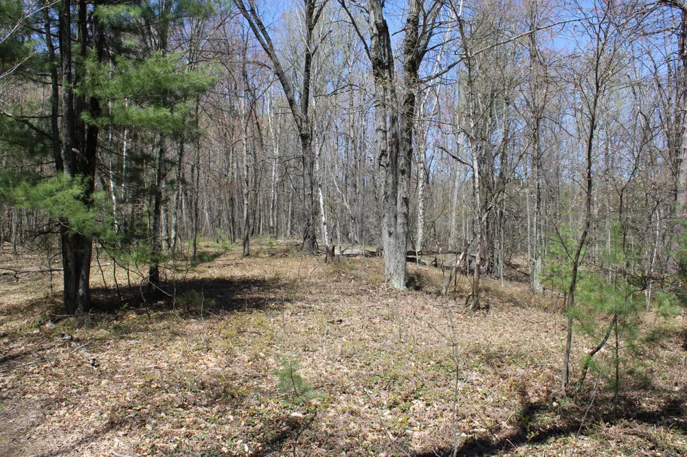 11401 Little George Lake Road Gladwin, MI 48624