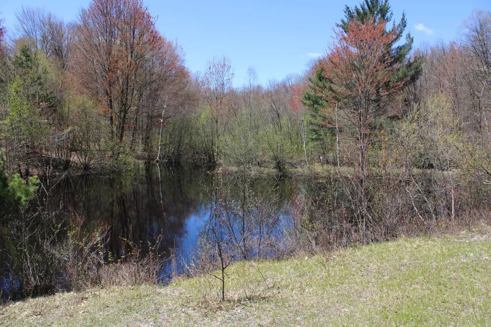 11401 Little George Lake Road Gladwin, MI 48624