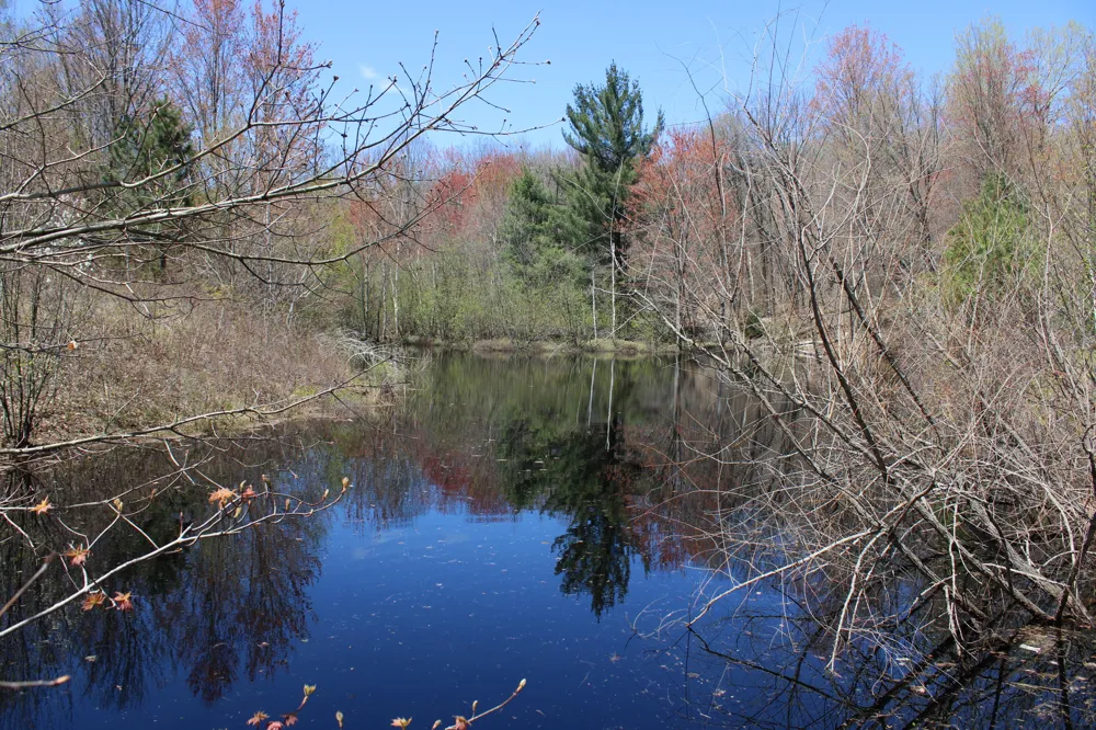 11401 Little George Lake Road Gladwin, MI 48624