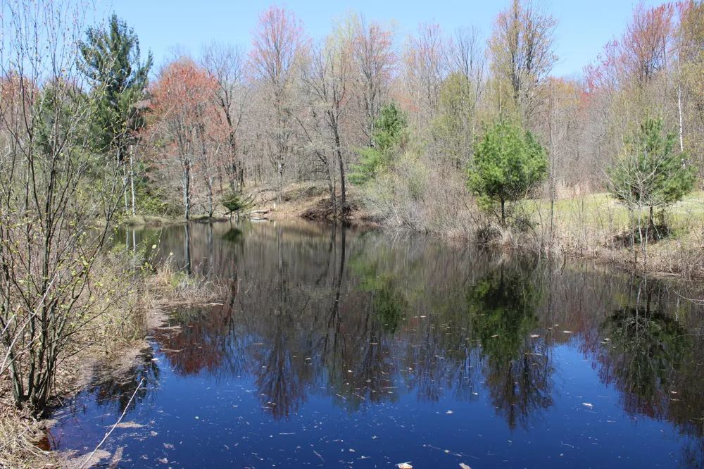 11401 Little George Lake Road Gladwin, MI 48624