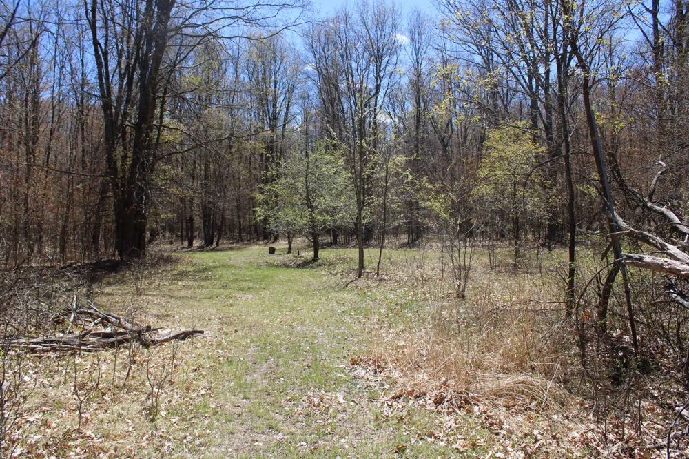 11401 Little George Lake Road Gladwin, MI 48624