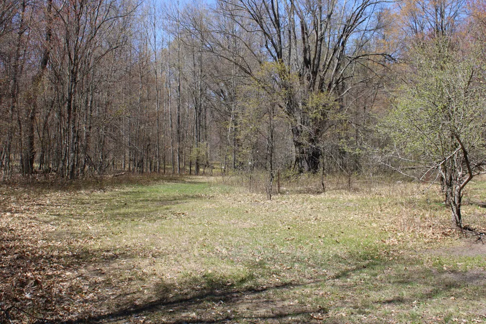 11401 Little George Lake Road Gladwin, MI 48624