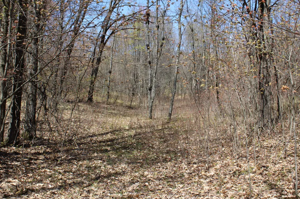11401 Little George Lake Road Gladwin, MI 48624