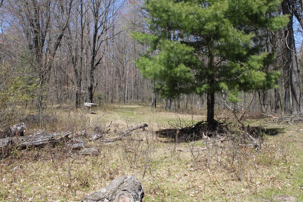 11401 Little George Lake Road Gladwin, MI 48624