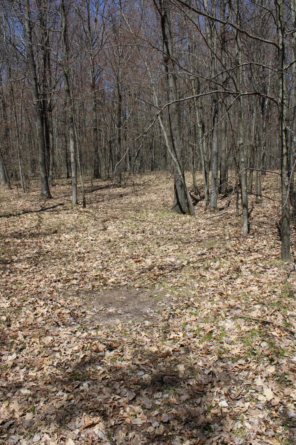 11401 Little George Lake Road Gladwin, MI 48624