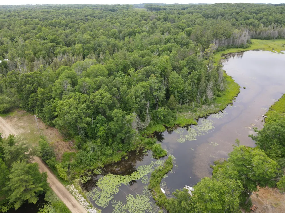 11401 Little George Lake Road Gladwin, MI 48624