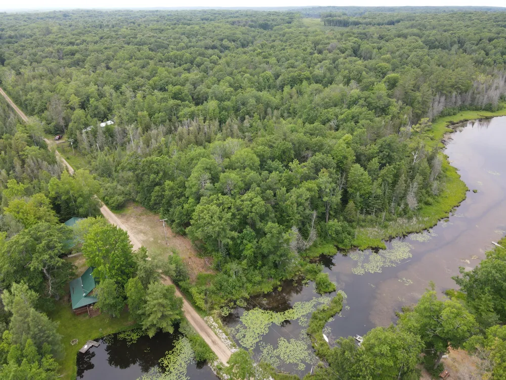 11401 Little George Lake Road Gladwin, MI 48624