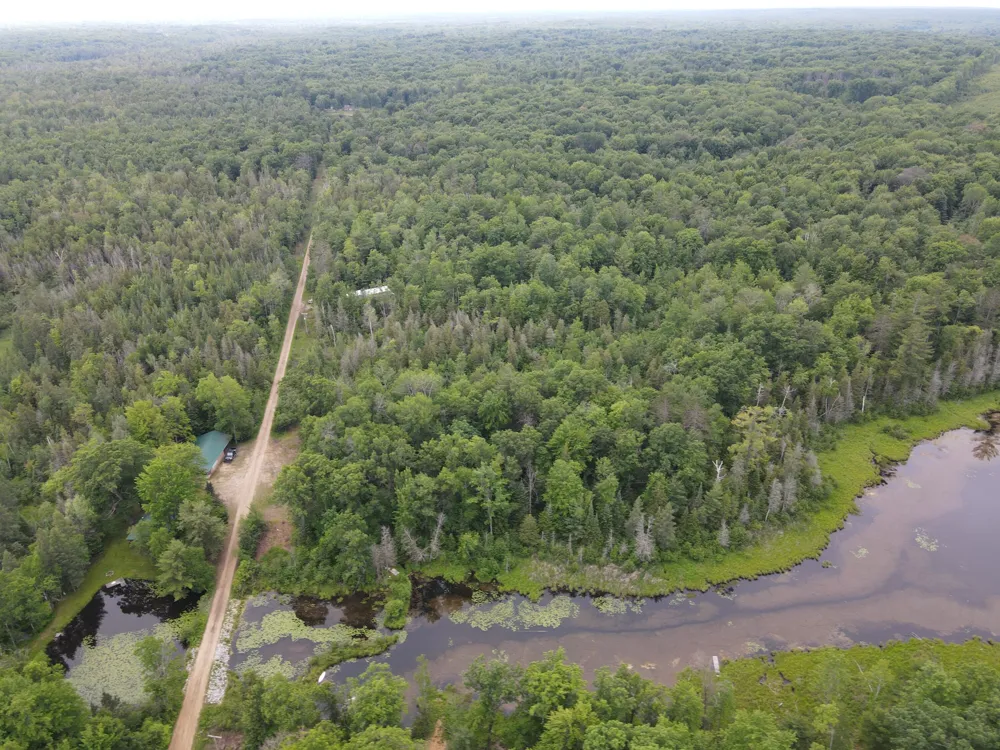11401 Little George Lake Road Gladwin, MI 48624
