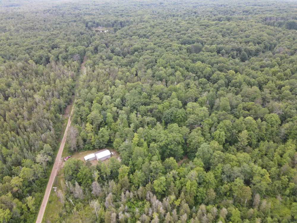 11401 Little George Lake Road Gladwin, MI 48624