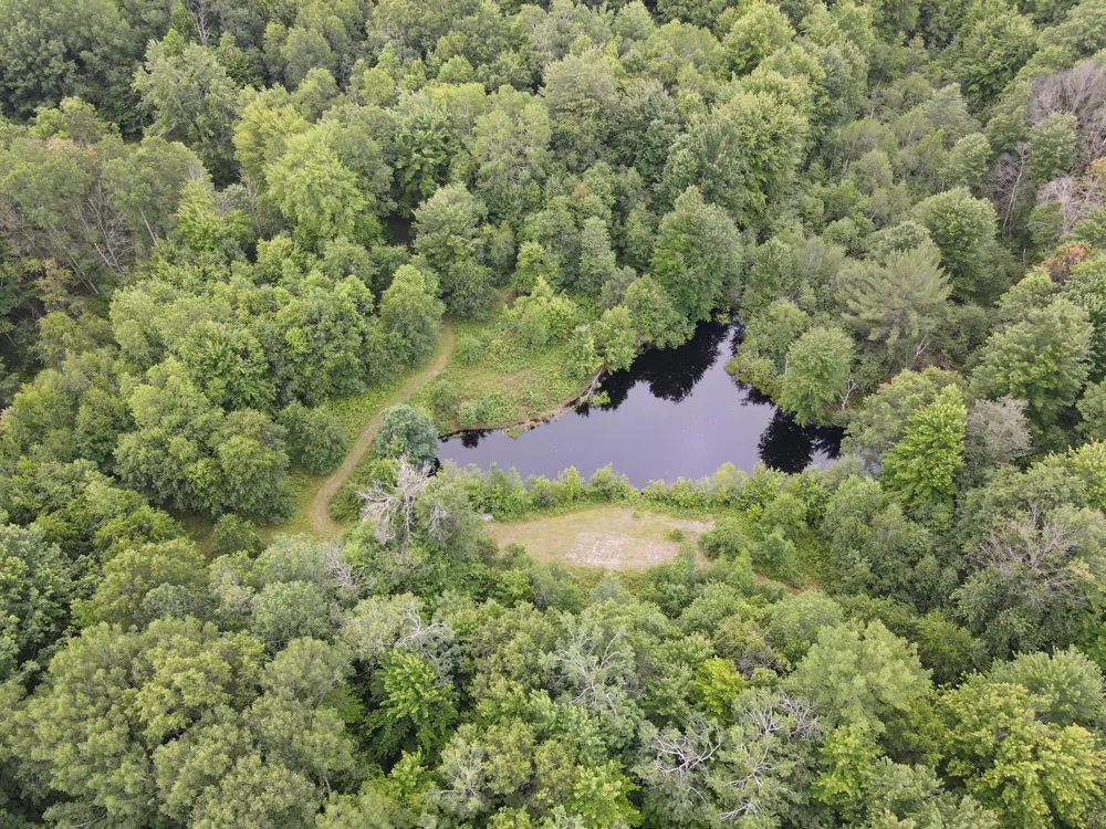 11401 Little George Lake Road Gladwin, MI 48624