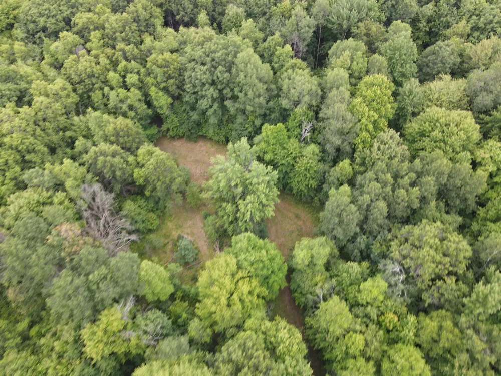 11401 Little George Lake Road Gladwin, MI 48624