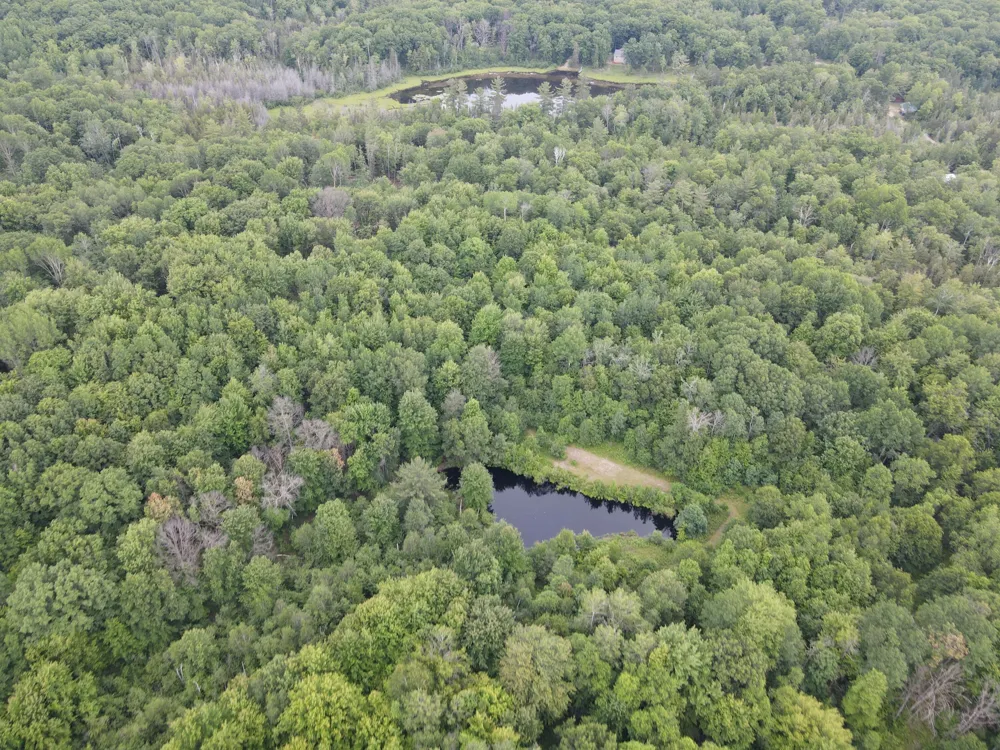 11401 Little George Lake Road Gladwin, MI 48624