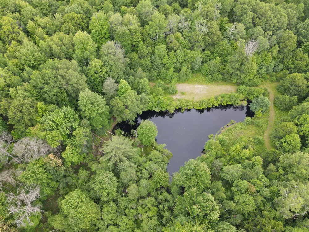 11401 Little George Lake Road Gladwin, MI 48624