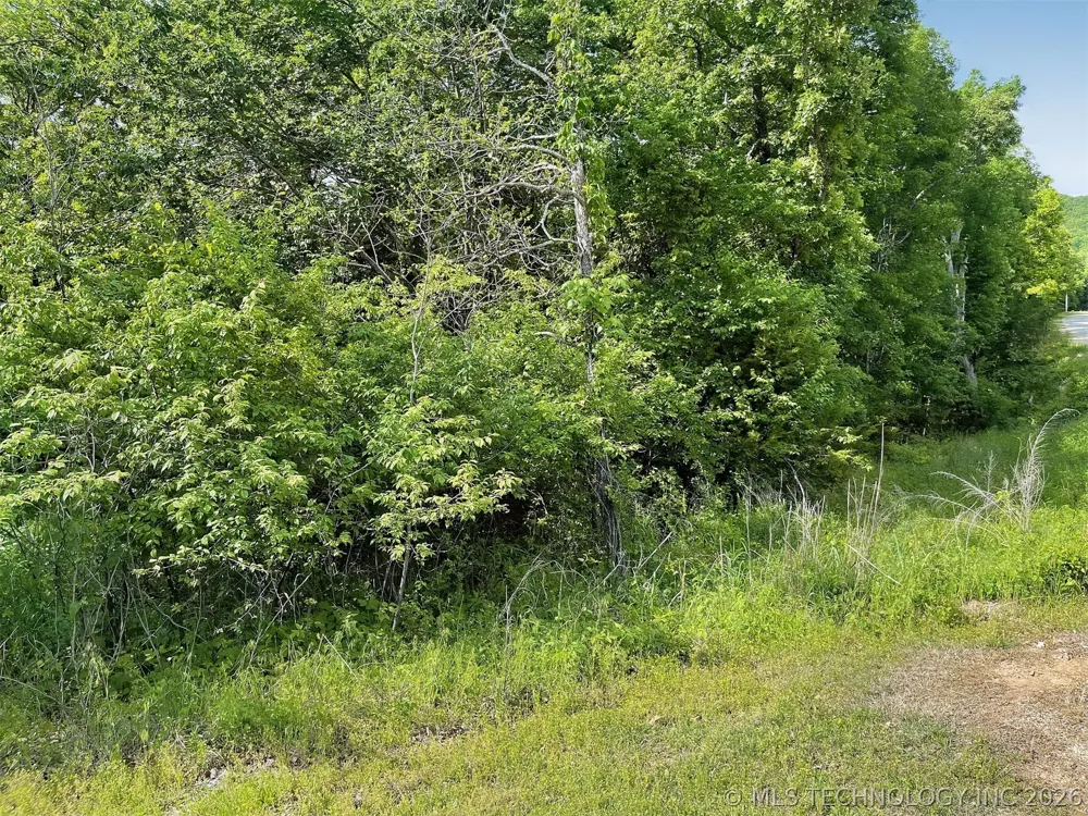 S Hickory Lane Cookson, OK 74427
