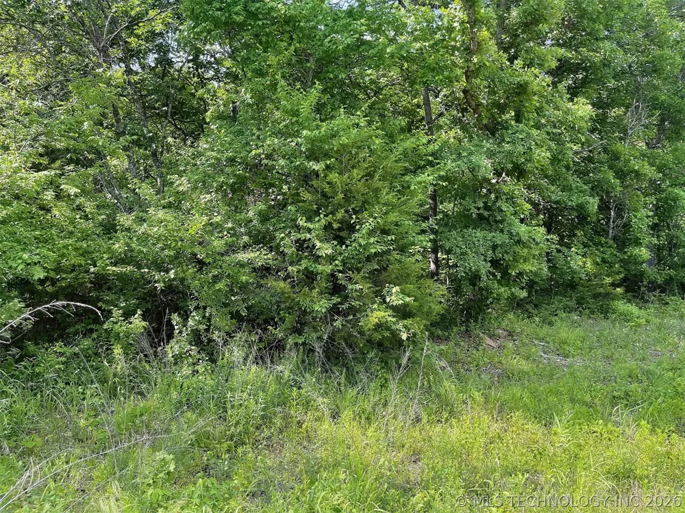 S Hickory Lane Cookson, OK 74427