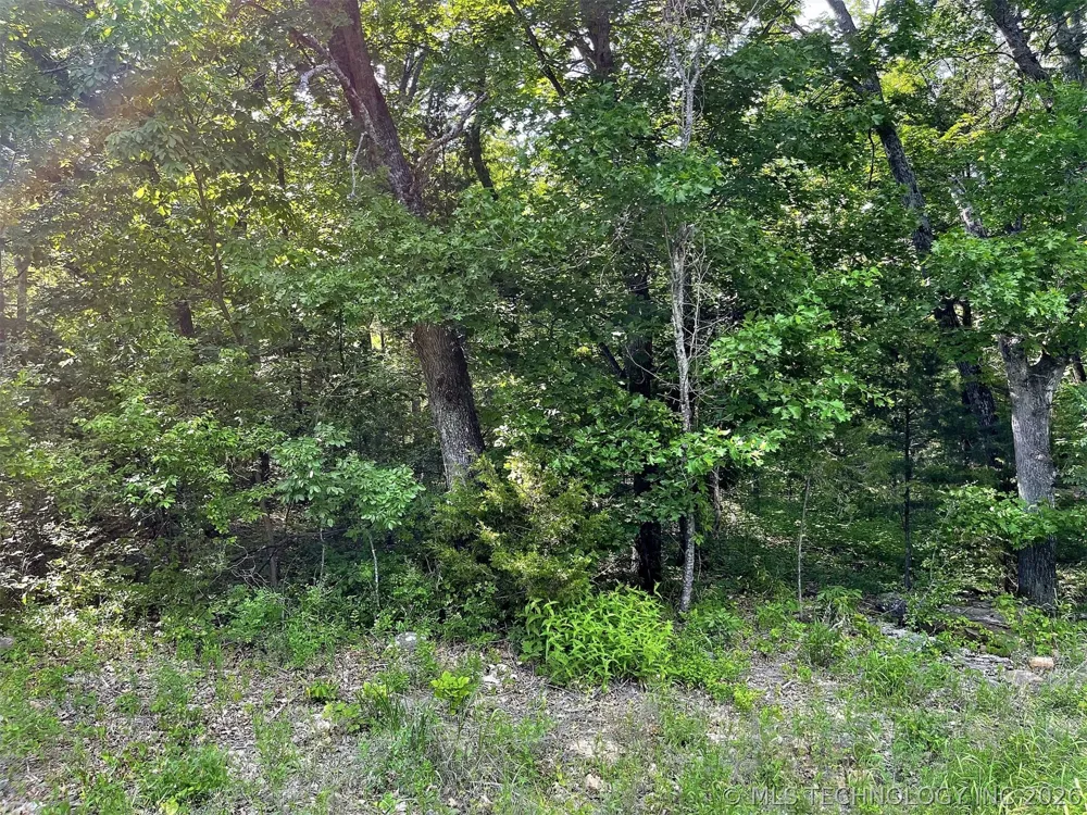 S Hickory Lane Cookson, OK 74427