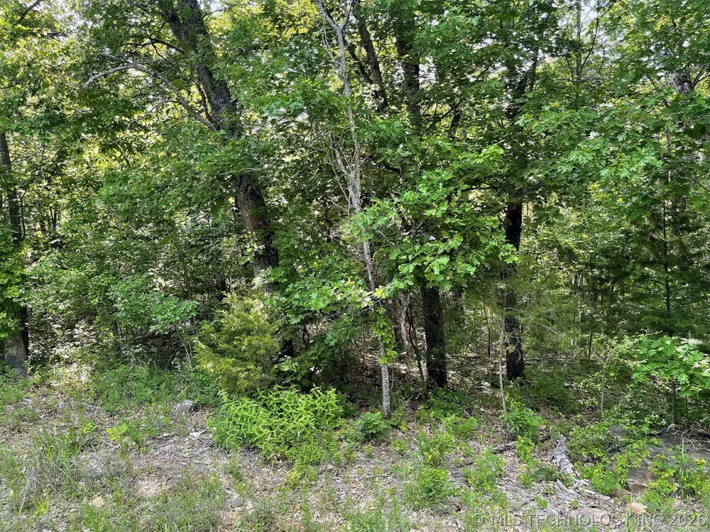 S Hickory Lane Cookson, OK 74427