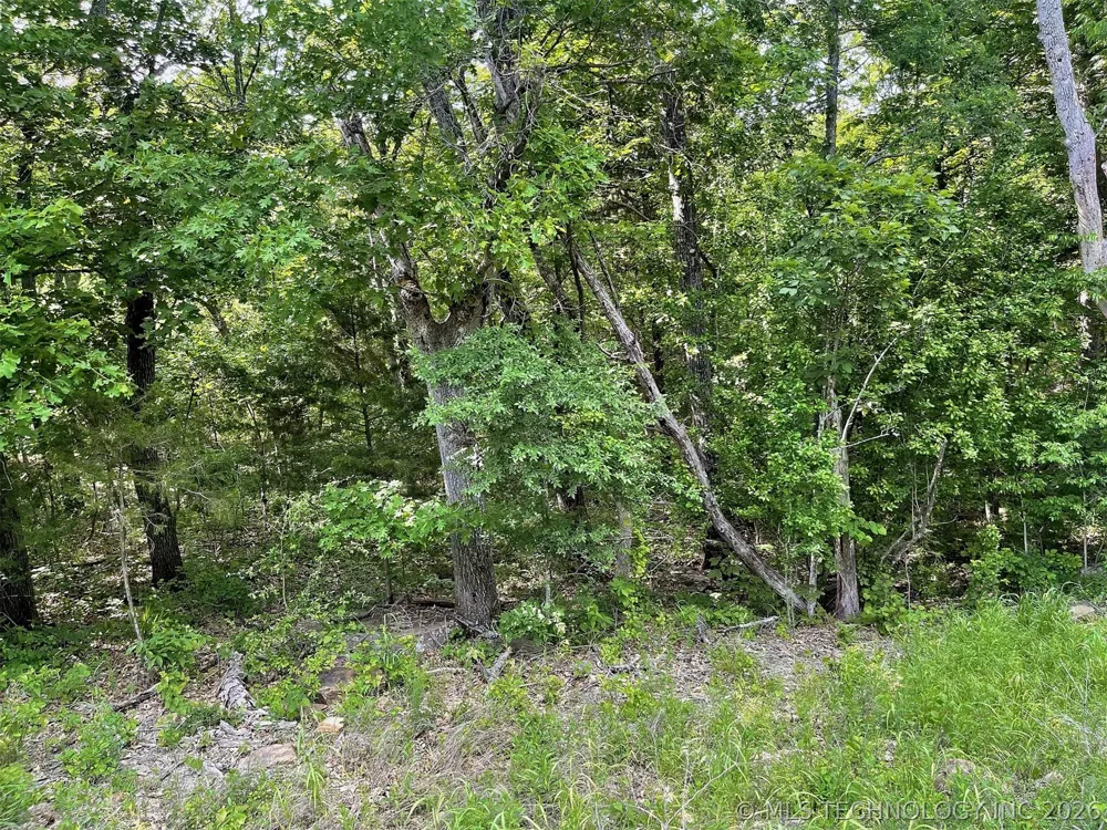 S Hickory Lane Cookson, OK 74427