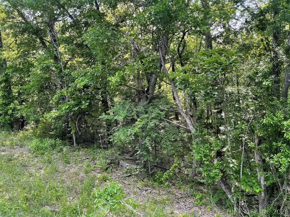 S Hickory Lane Cookson, OK 74427