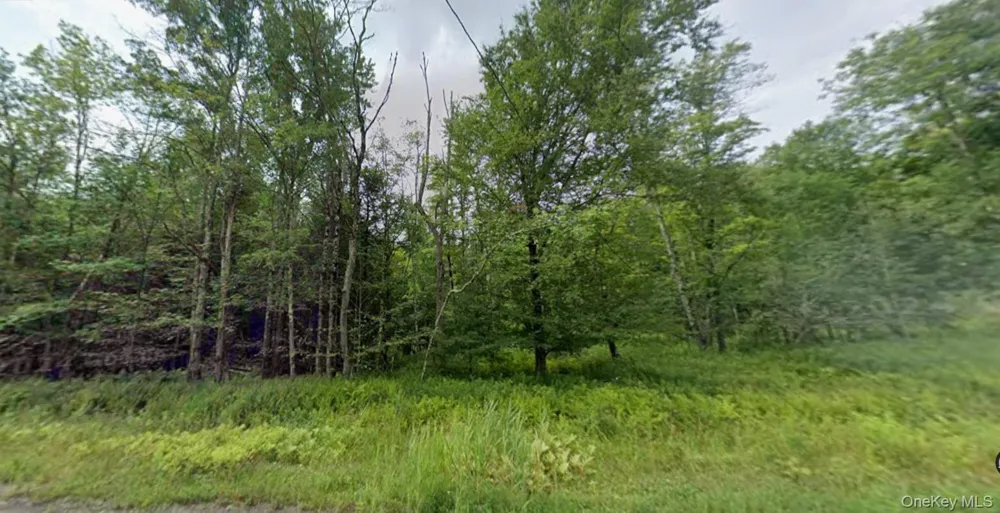 780 Tanzman Road Parksville, NY 12768