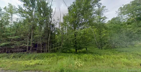 780 Tanzman Road