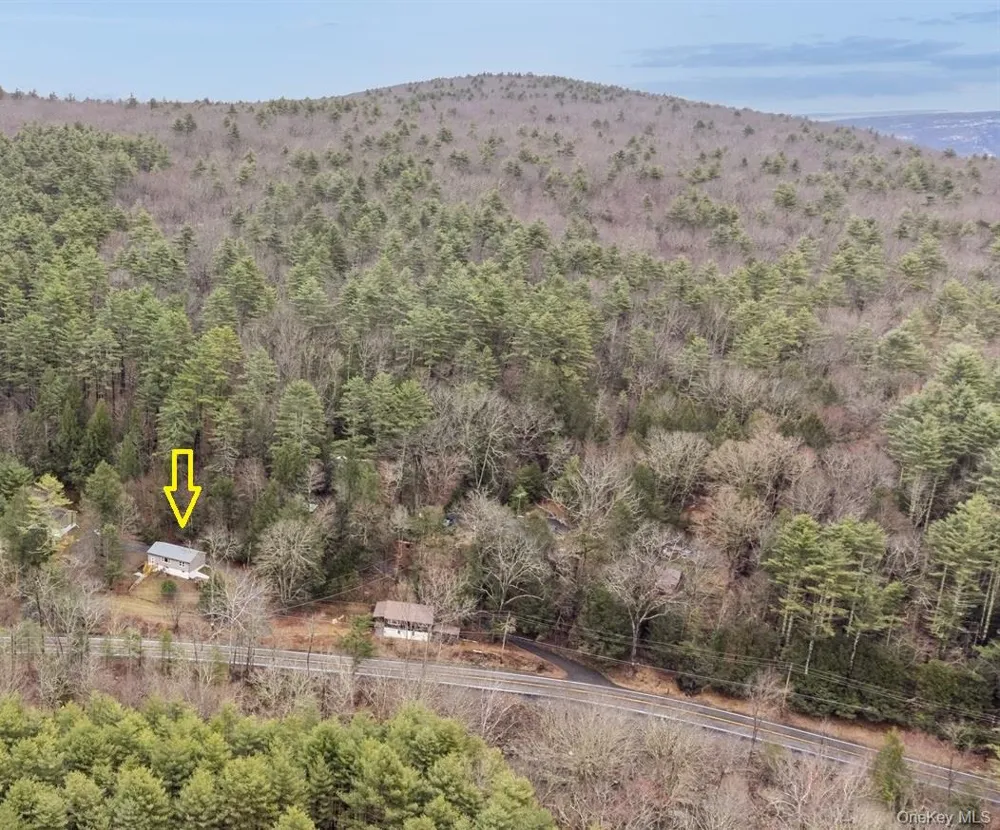 736 State Route 55 Napanoch, NY 12458