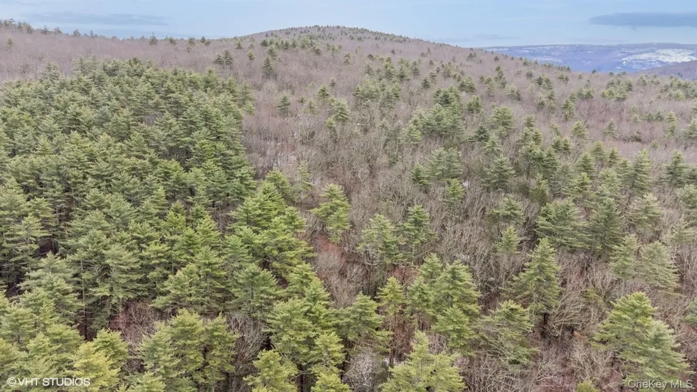 736 State Route 55 Napanoch, NY 12458