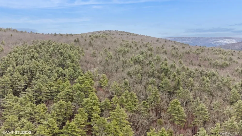 736 State Route 55 Napanoch, NY 12458