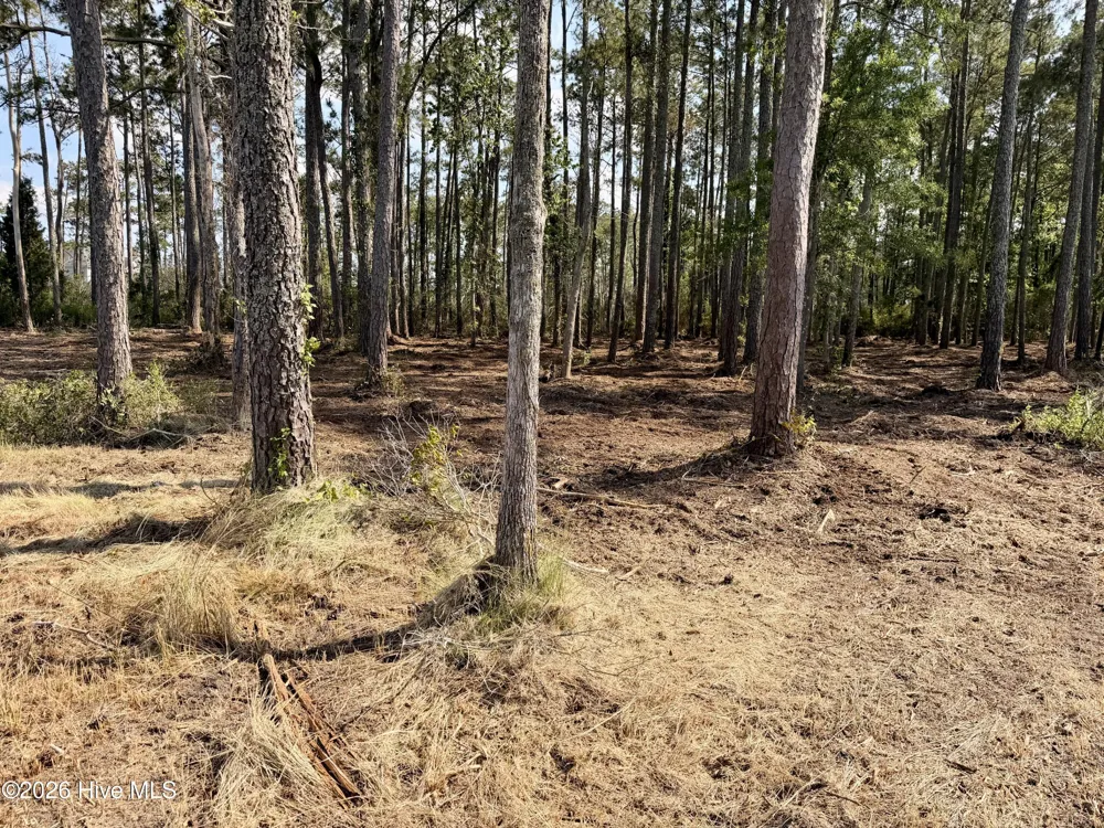 0 Seaview Court Bath, NC 27808