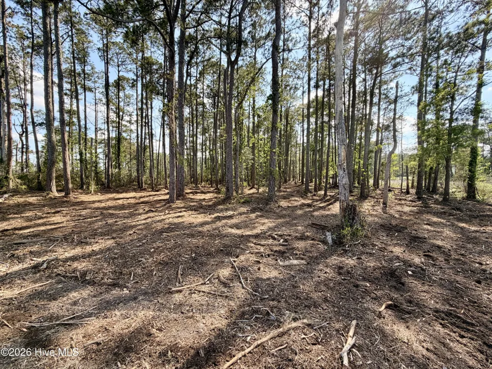 0 Seaview Court Bath, NC 27808