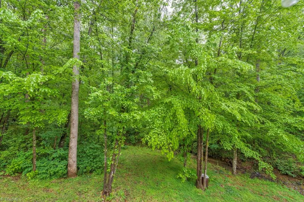 38 Macey Drive Nebo, NC 28761