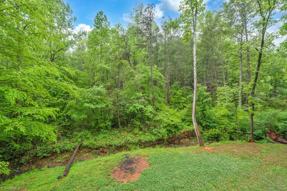 38 Macey Drive Nebo, NC 28761