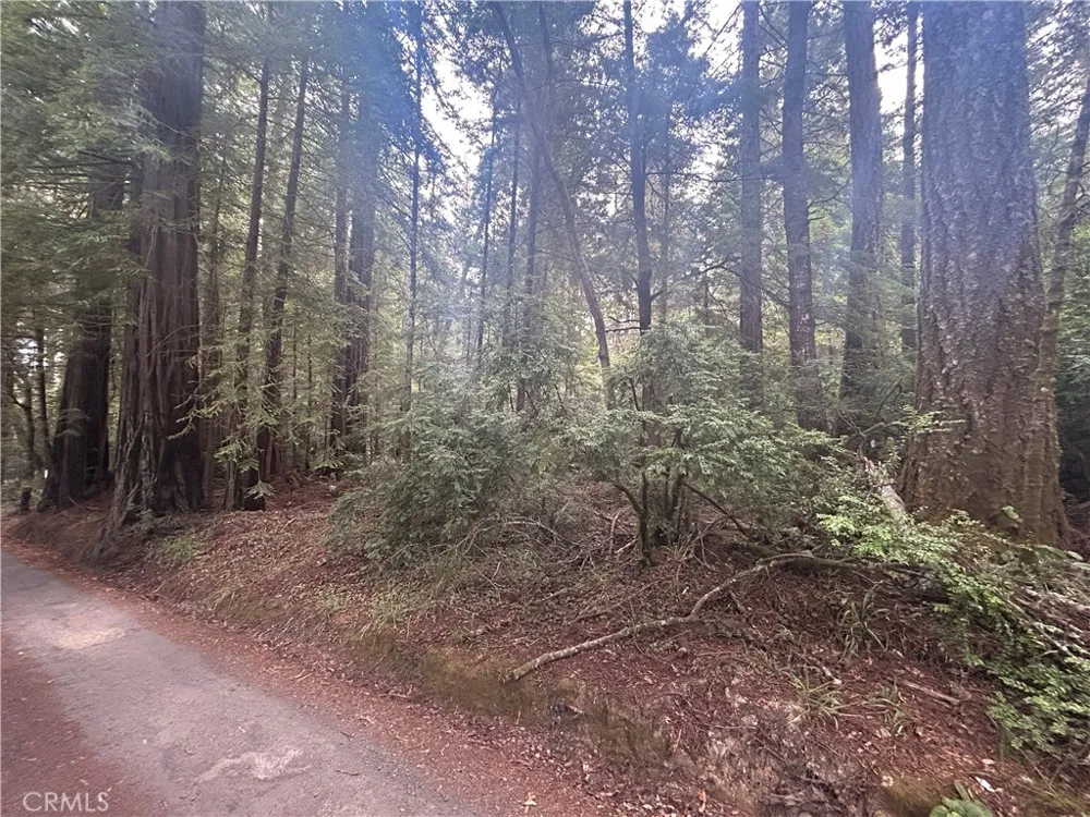 Law Road Mendocino, CA 95460