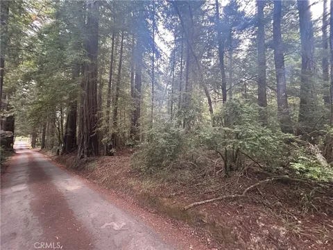 Law Road