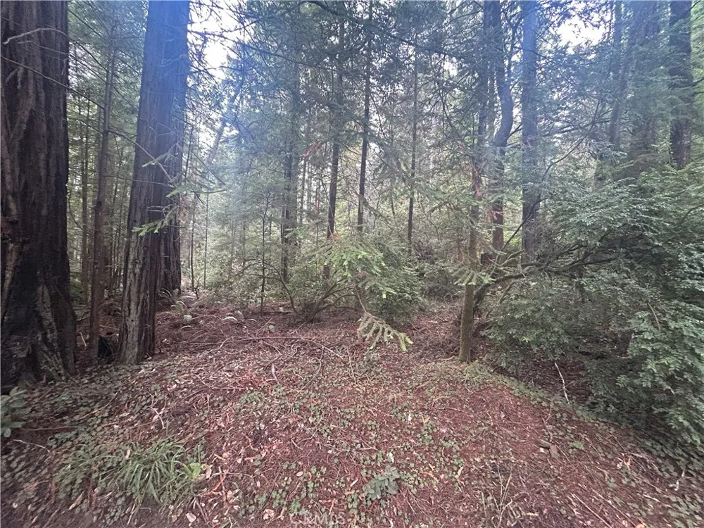 Law Road Mendocino, CA 95460