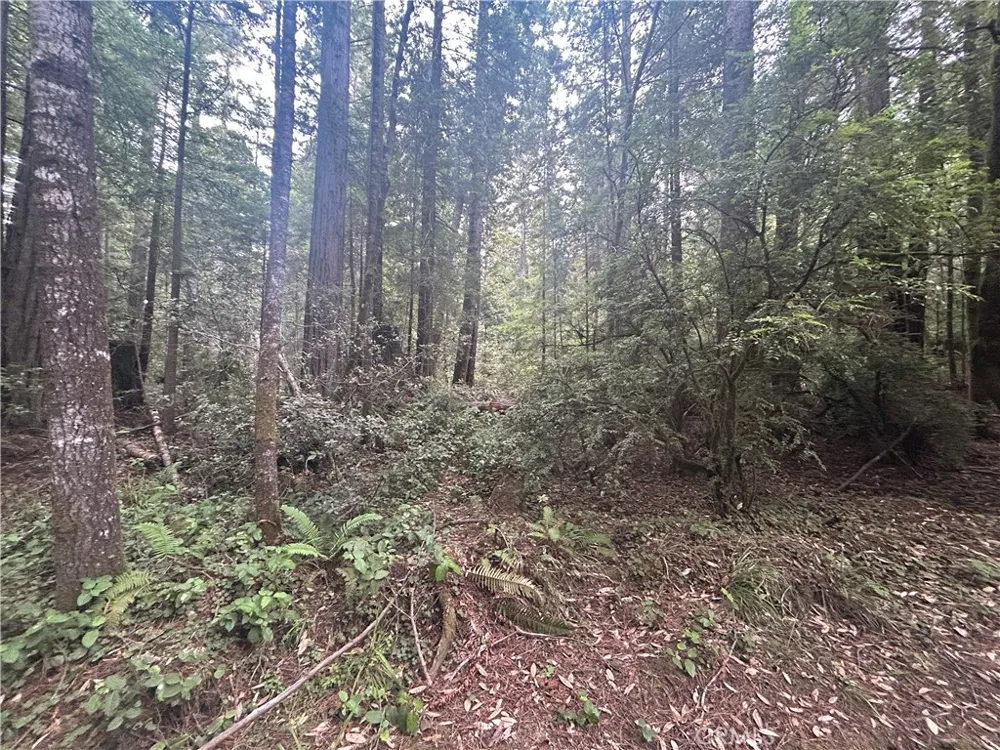Law Road Mendocino, CA 95460
