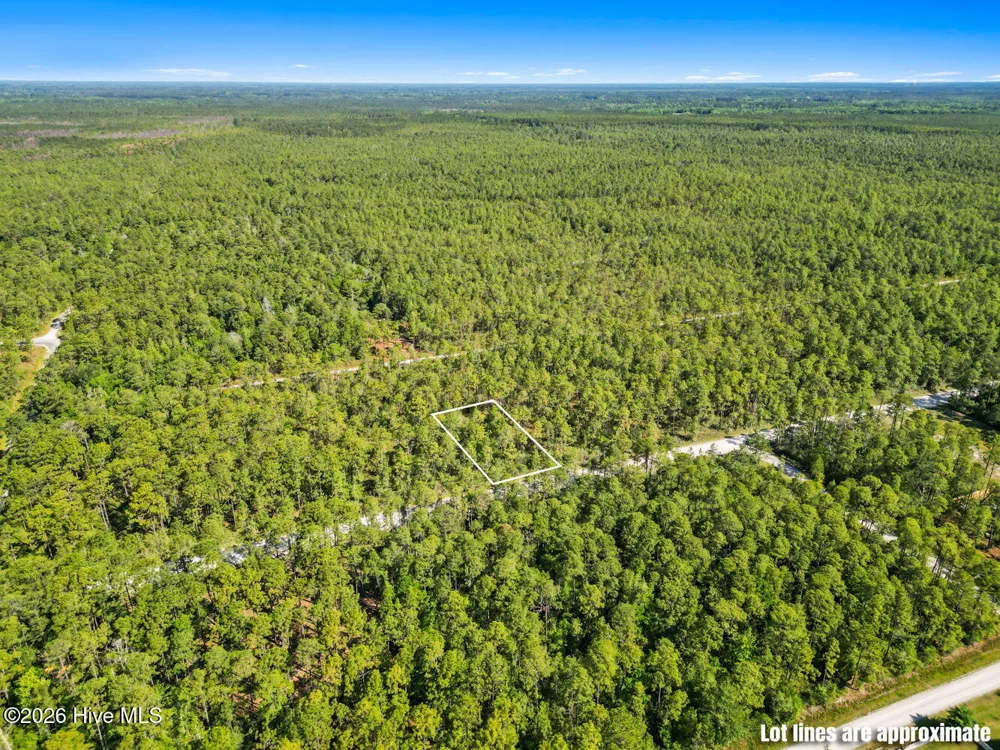 Lot 7 Juniper Road Boiling Spring Lakes, NC 28461