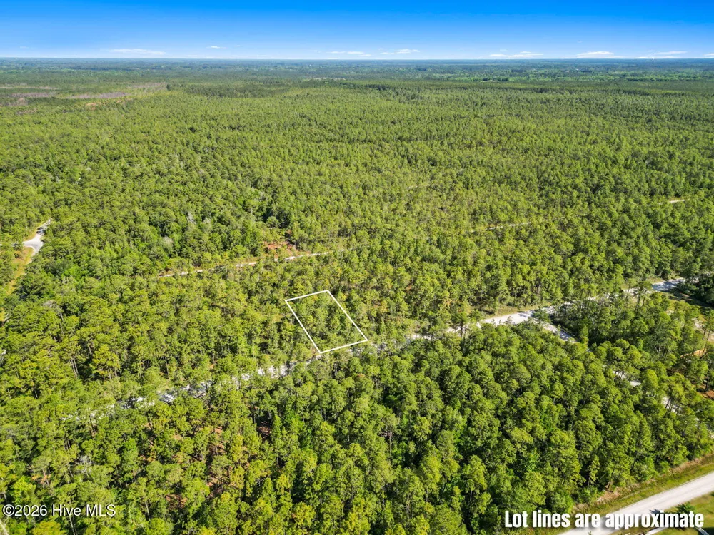 Lot 7 Juniper Road Boiling Spring Lakes, NC 28461